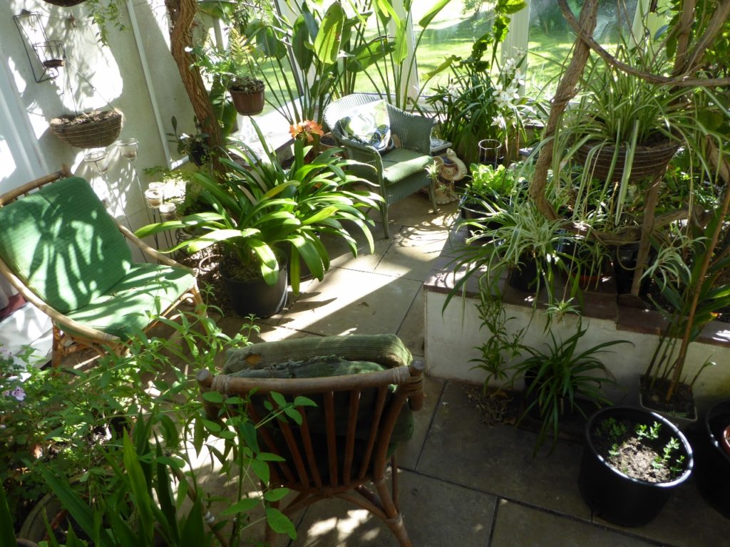 new placement inside conservatory
